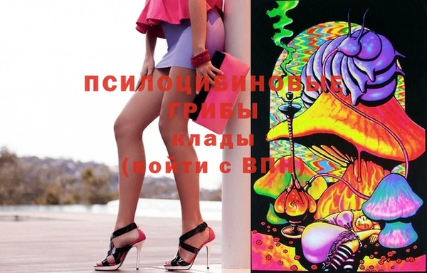 скорость Алексин