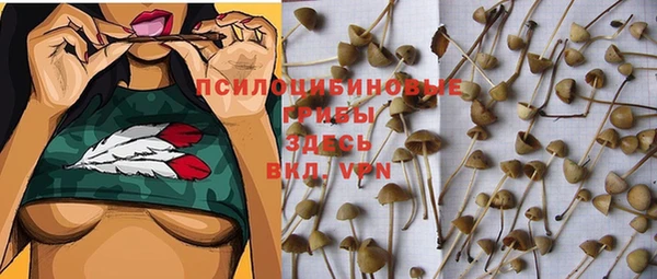 скорость Алексин