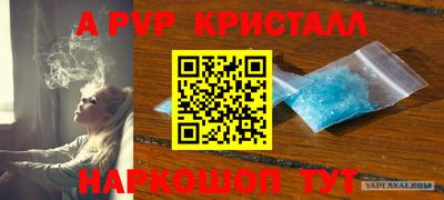 стафф Обнинск